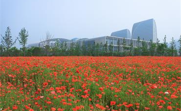 聚焦花園經濟引領健康生活 2020花園大會舉辦